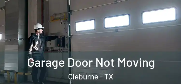  Garage Door Not Moving Cleburne - TX