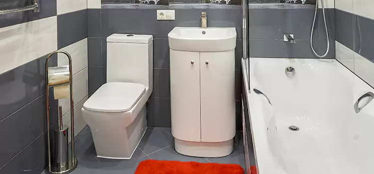 Hansgrohe Shaving Mirror Cleburne